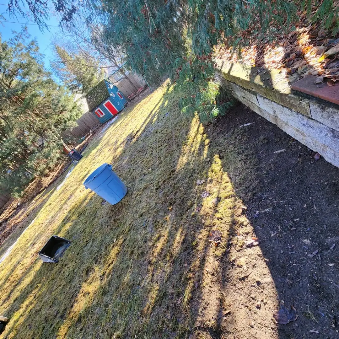Seasonal clean-up