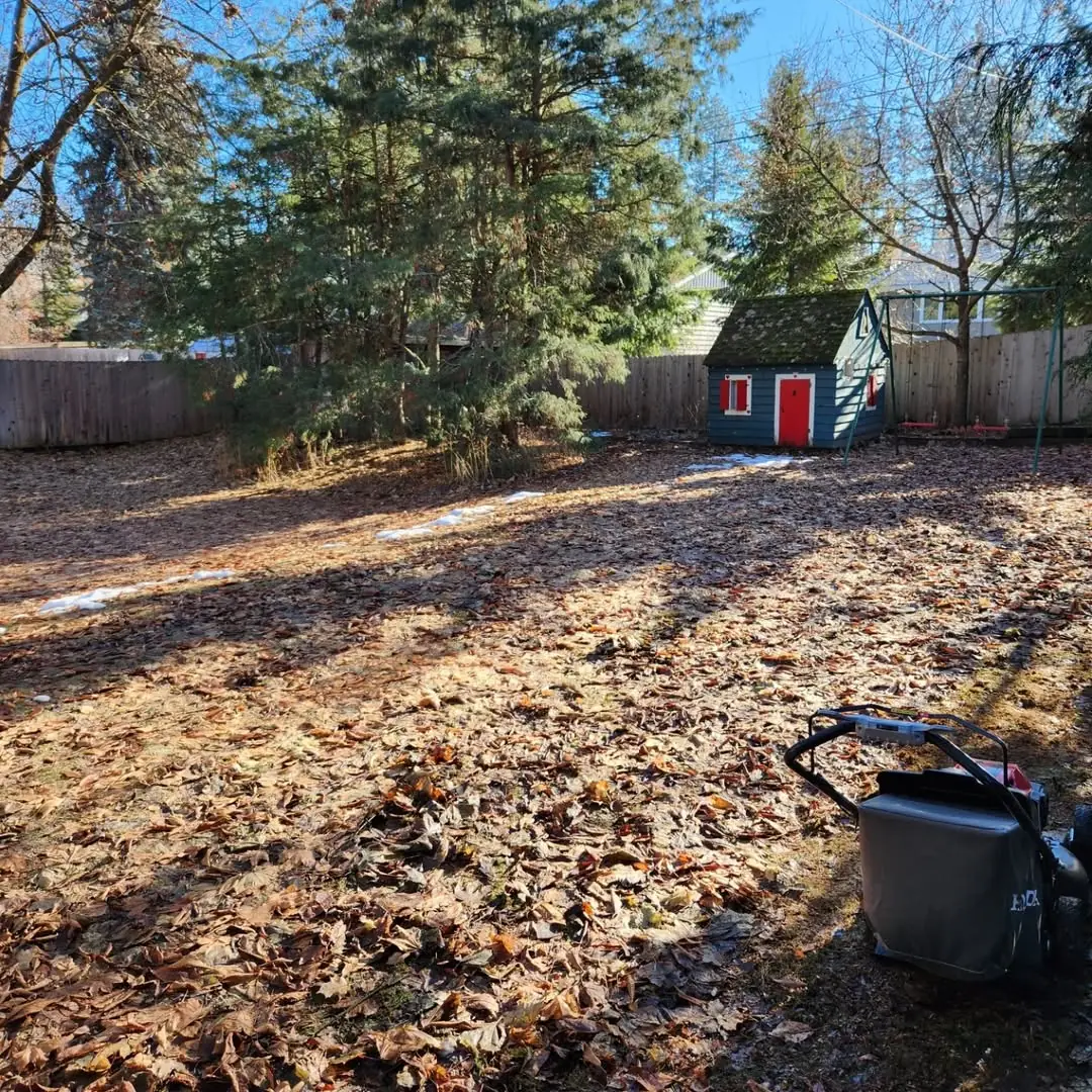 Fall leaf removal