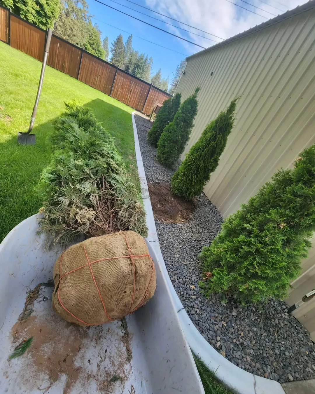 Tree removal work