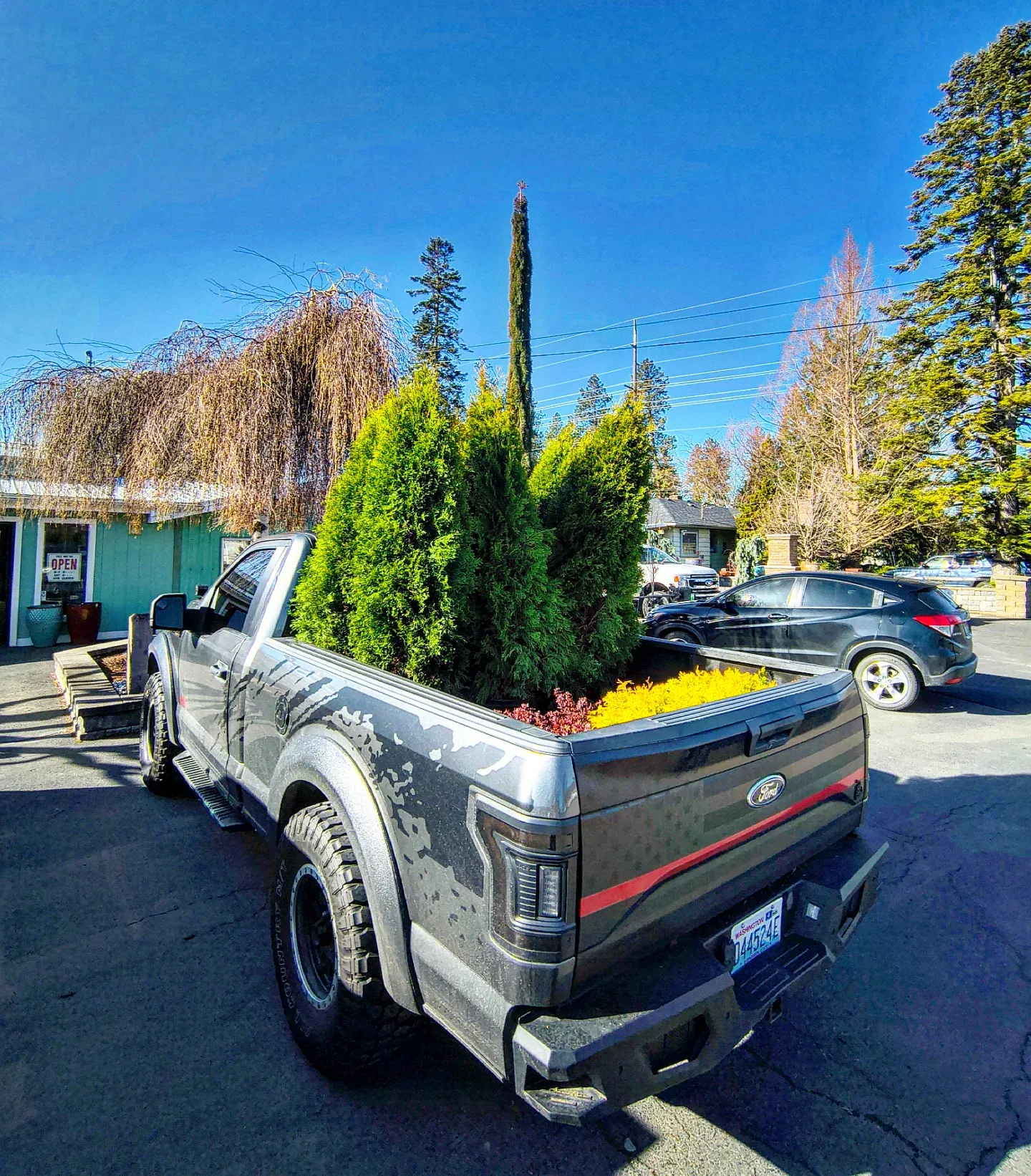 Tree service truck