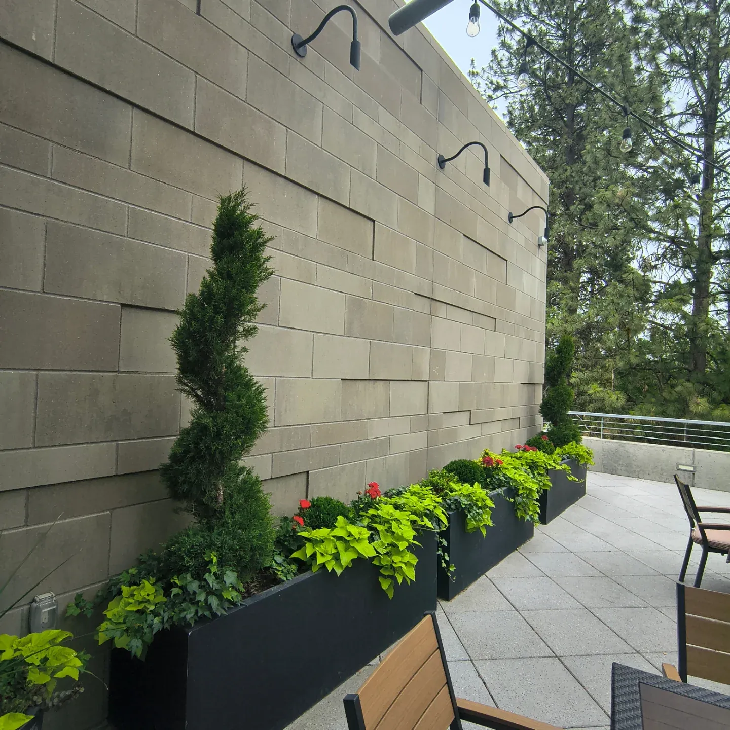 Tree and plant care