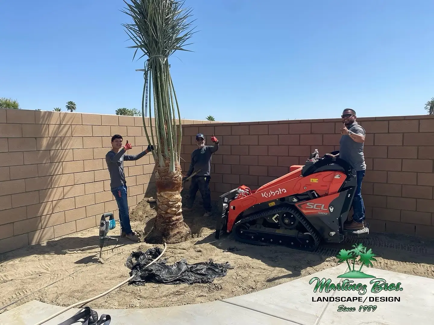 Full landscape design project