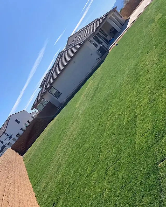 Wall-to-wall artificial turf lawn beside a two-story home with a paver walkway