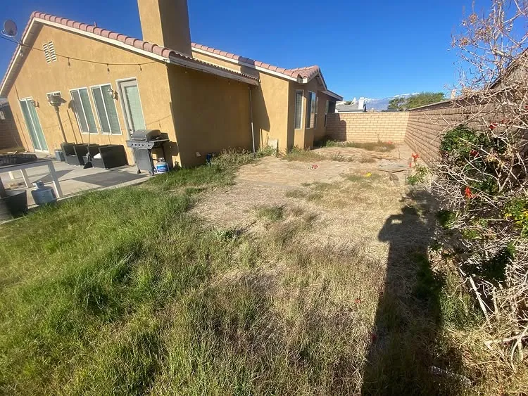 Erik Zuniga project before